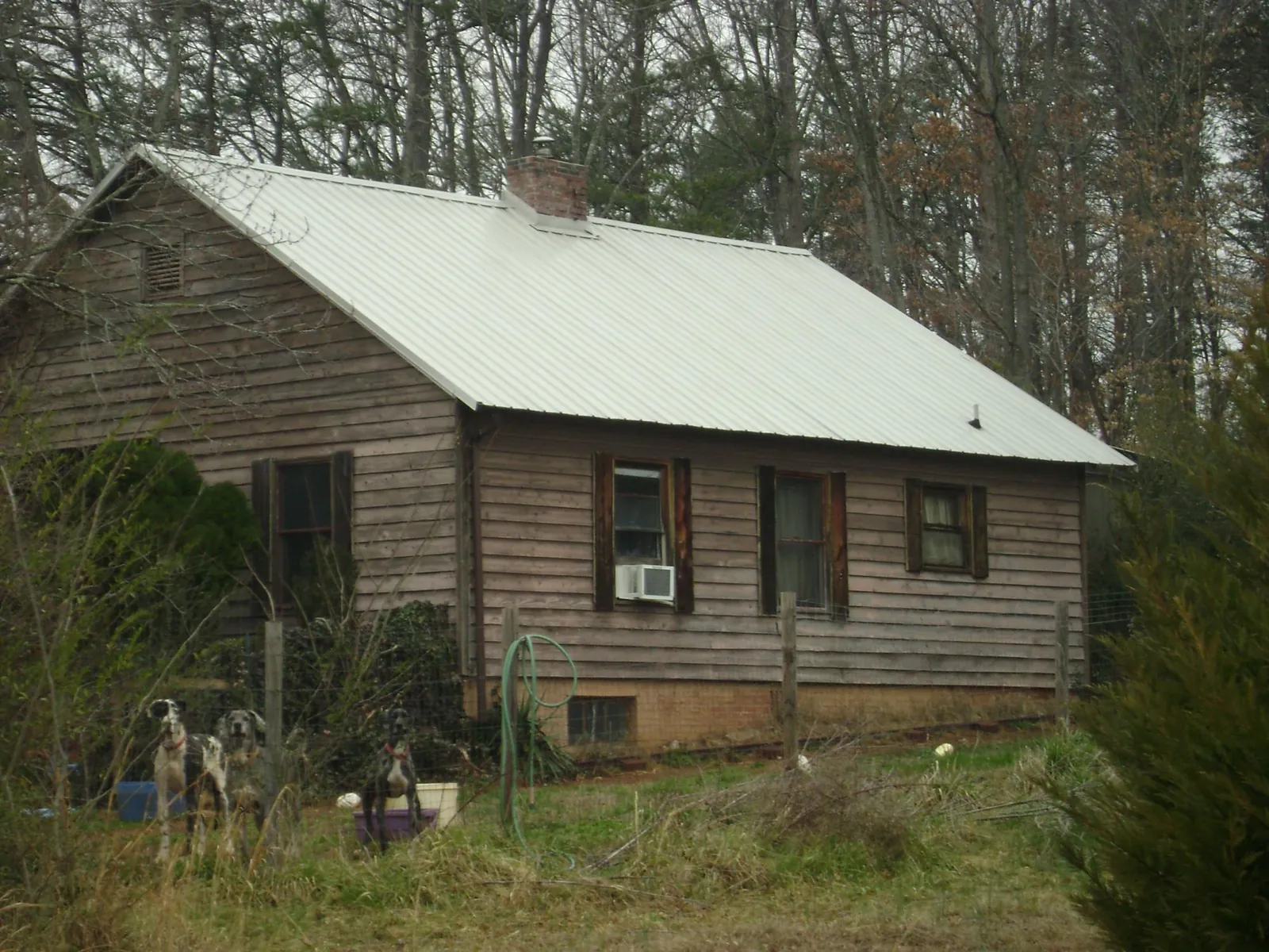 White metal roof on an old wood sided farmhouse, from a Asphalt Shingle Roof Repair job in Tuckasegee